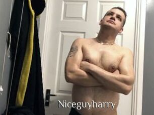 Niceguyharry