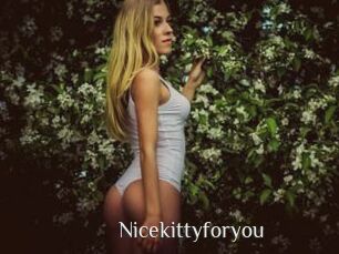 Nicekittyforyou