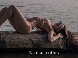 Nicesuccubus