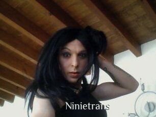 Ninietrans