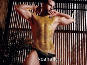 Noahallen