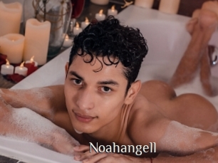 Noahangell