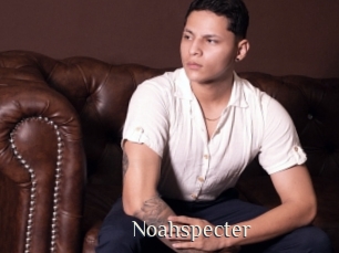 noahspecter Shop coquin