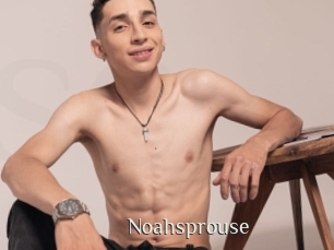Noahsprouse