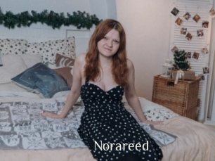 Norareed