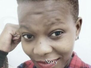 Nozy
