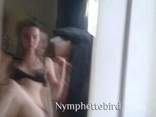 Nymphettebird