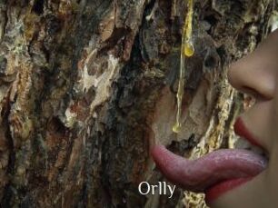 Orlly Shop coquin