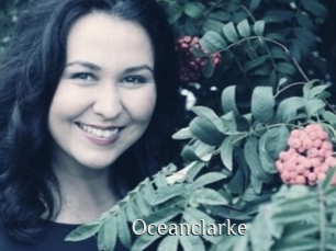 oceanclarke Shop coquin