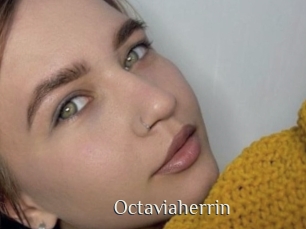 Octaviaherrin