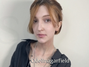Odelinagarfield