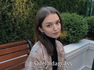 Odelindagrass