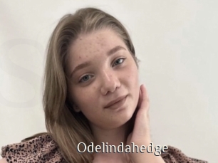 odelindahedge Shop coquin