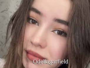Odellagarfield