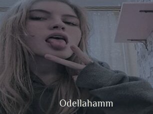 Odellahamm