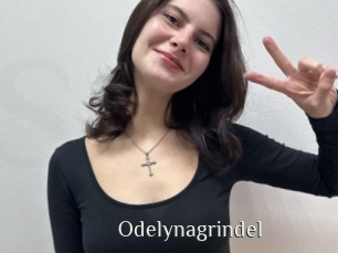 Odelynagrindel
