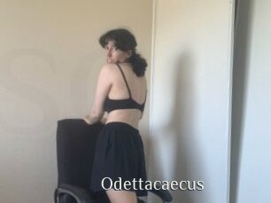 Odettacaecus