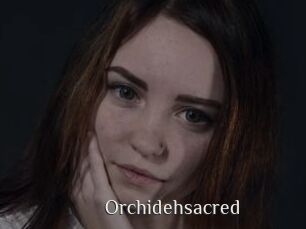 orchidehsacred Shop coquin