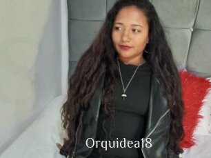 Orquidea18