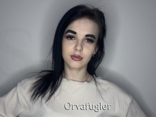 Orvafugler