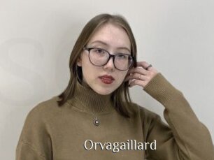 orvagaillard Shop coquin