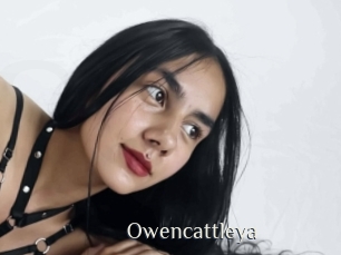 Owencattleya
