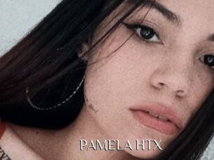 PAMELA_HTX