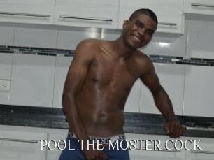 POOL_THE_MOSTER_COCK
