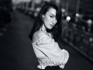 PaleDaisy Shop coquin
