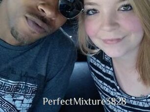 PerfectMixture3828