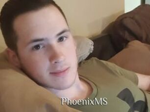 PhoenixMS