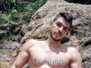 Pierre_vitale