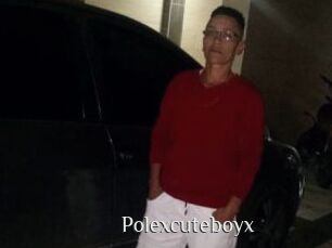 Polexcuteboyx