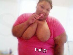 Pudgy