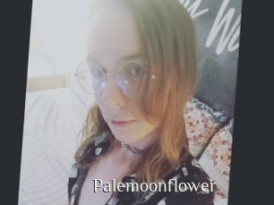 palemoonflower Shop coquin