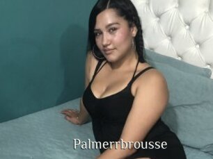 Palmerrbrousse