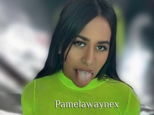 Pamelawaynex