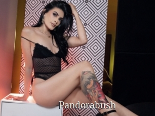 Pandorabush