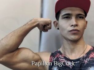Papillon_BigCock