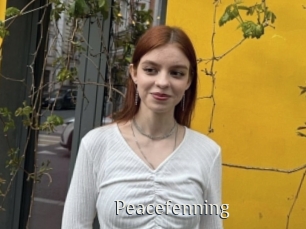 Peacefenning