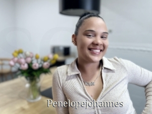 Penelopejohannes