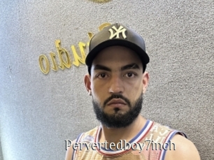 Pervertedboy7inch