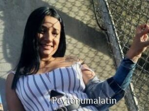 Peytonumalatin
