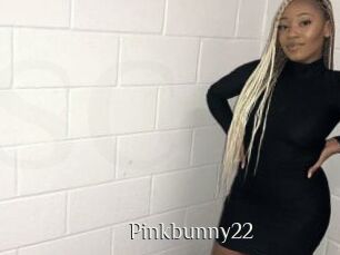 Pinkbunny22