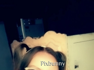 Pixbunny