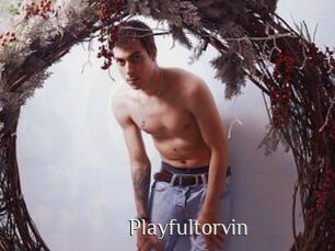 Playfultorvin