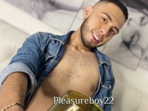 Pleasureboy22