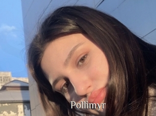 Pollimyr