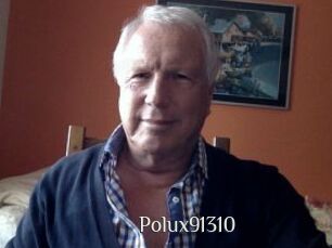 Polux91310