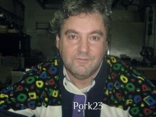 pork23 Shop coquin